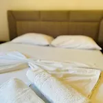 Prime Location Cozy Apartment Near Pazari I Ri