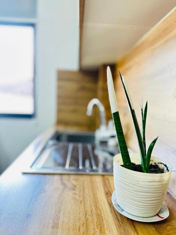 Apartment Prime Location Cozy Near Pazari I Ri *